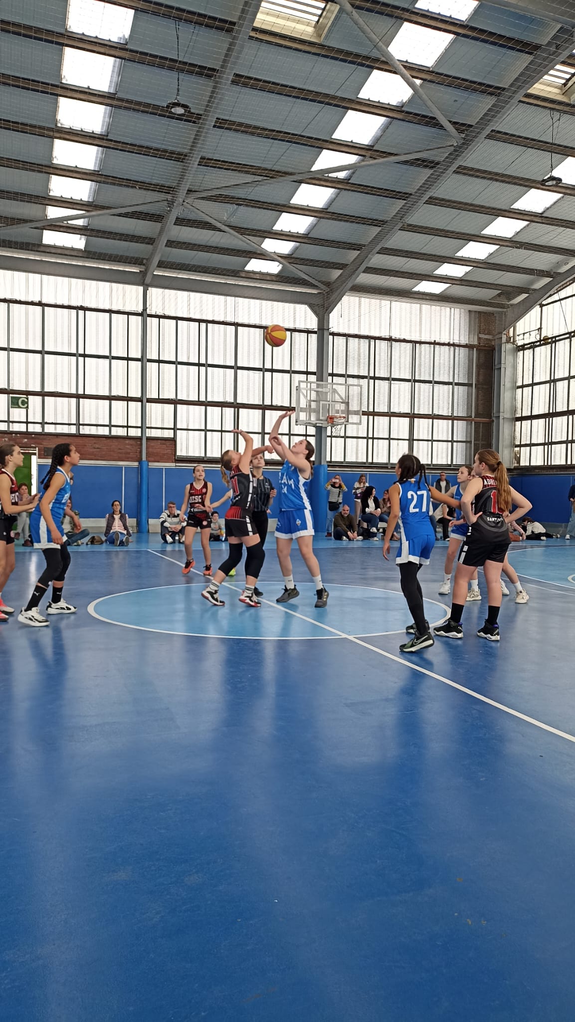 MINI BLAU FEM